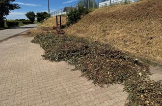 Seit über einem Jahr werden auf dem öffentlichen Parkplatz unterhalb des Sportplatzes Dreiborn von den Dorfbewohnern regelmäßig größere Mengen an Grünabfälle widerrechtlich abgekippt.