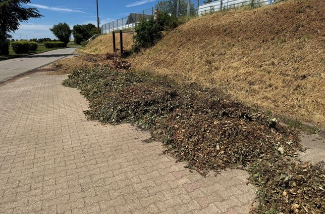 Seit über einem Jahr werden auf dem öffentlichen Parkplatz unterhalb des Sportplatzes Dreiborn von den Dorfbewohnern regelmäßig größere Mengen an Grünabfälle widerrechtlich abgekippt.