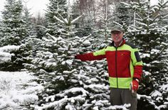 Das Forstamt Kastellaun bietet FSC-zertifizierte Weihnachtsbäume an. Zum Termin mit Ralf Lieschied waren diese mit Schnee bedeckt. Ein seltenes Bild in den letzten Jahren.