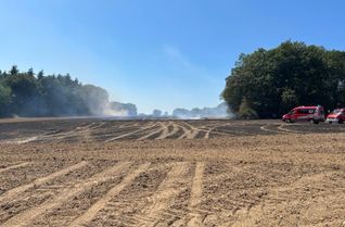 Wald- / und Flächenbrand Dommershausen.