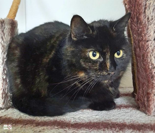 Mucki sucht ein neues Zuhause.