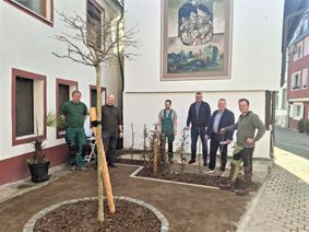 Verschönerung Gerbergasse