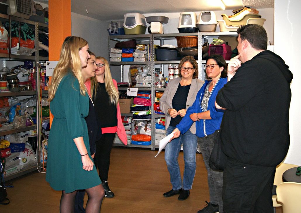 Impressionen von dem Nachmittag.