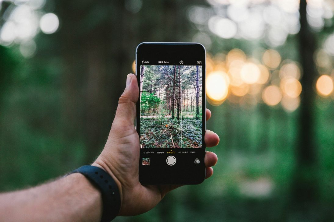 Ob Foto einer klassischen Kamera oder Handy-Aufnahme: Beim Wettbewerb ist beides erlaubt. Foto: Pixabay