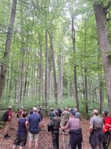 Rund 20 Teilnehmer erkundeten den Wald bei Möntenich und erfuhren Wissenswertes über Waldbewirtschaftung und Waldfrüchte.