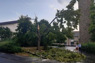 In der In der Lessingstraße brach der Sturm einen großen Ast an einem Baum vor der Johanneskirche ab.