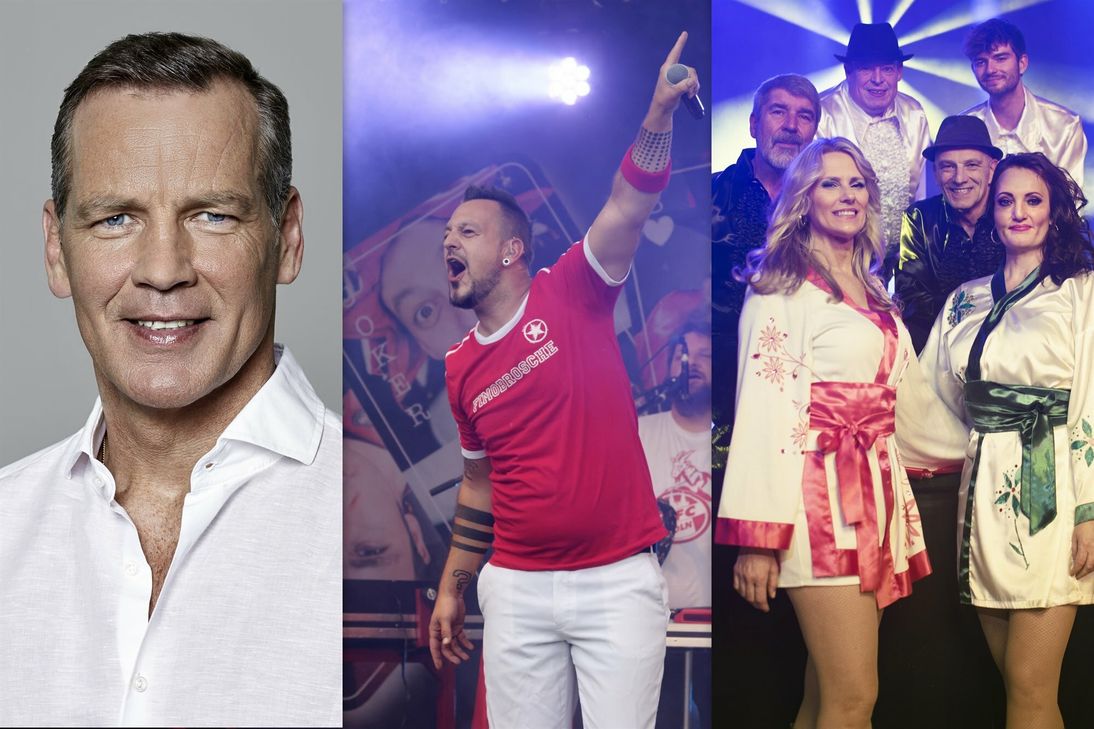 Henry Maske, De Hofnarren, One night with ABBA Show