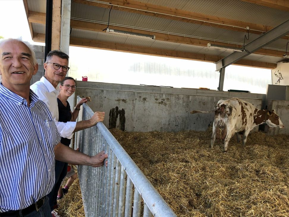 Rund 100 Milchkühe versorgt die Familien van Kann auf ihrem Hof in Dahlem. mn-Foto