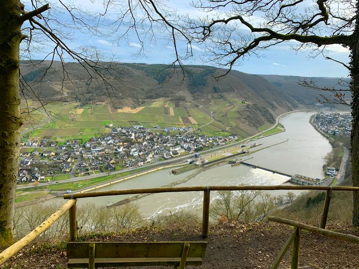Moselpanorama bei Bruttig-Fankel. Foto: Natur Aktiv Erleben