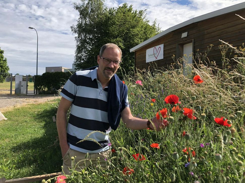 Im Tierheim Kall bietet man nach Auskunft vom Vorsitzenden des Tierschutzvereins Kall und Umgebung, Markus Schmitz-Bongard, auch Insekten und Wildblumen ein Zuhause. mn-Foto