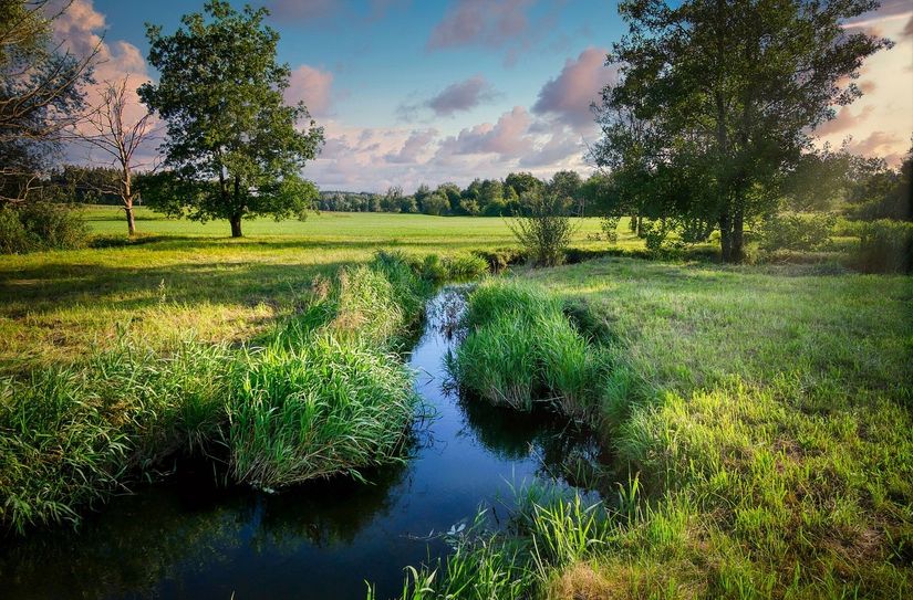Druch die Allgemeinverfügung wird die Entnahme von Wasser aus oberirdischen Gewässern bis auf Widerruf untersagt.