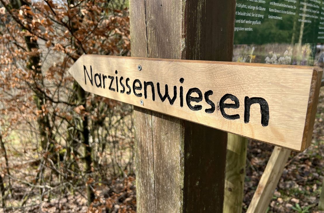 Da geht's lang ...