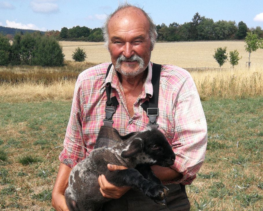 Und noch ein neues Lämmchen - eine Mischung aus Merino-Schwarzkopfschaf - gerade mal zwei Tage jung - fühlt sich wohl im Arm von Schäfer Martin.