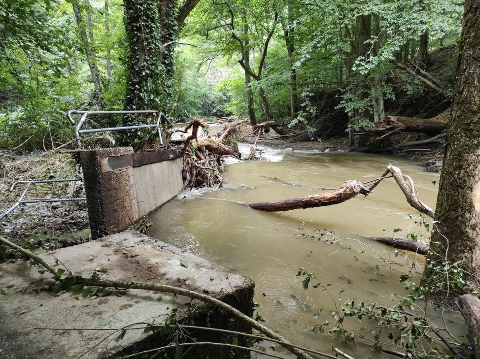 Diese Brücke auf dem Pyrmonter Felsensteig ist nicht mehr zu reparieren.