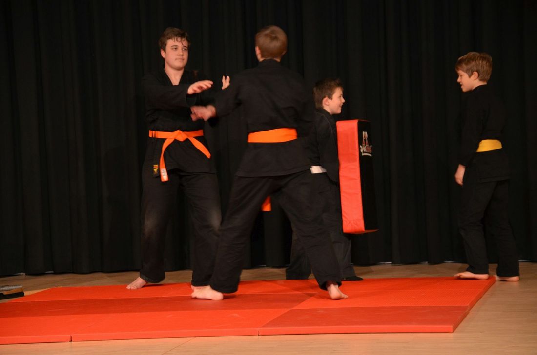 Die Jiu-Jutsu-Abteilung des TV Roetgen gab Kostproben ihres Könnens. Fotos: T. Förster