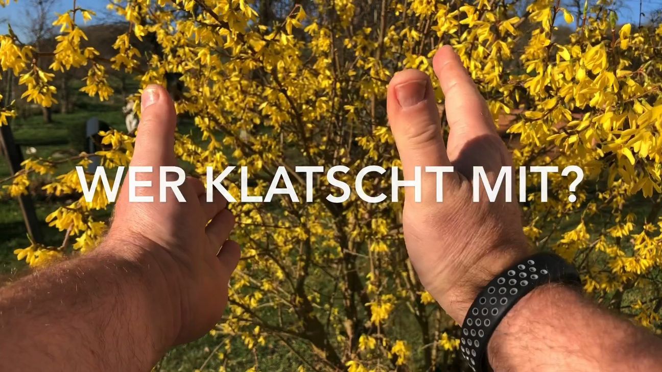 Wer klatscht mit? In Sistig und Umgebung soll es mit Applaus eine Welle der Dankbarkeit geben ...