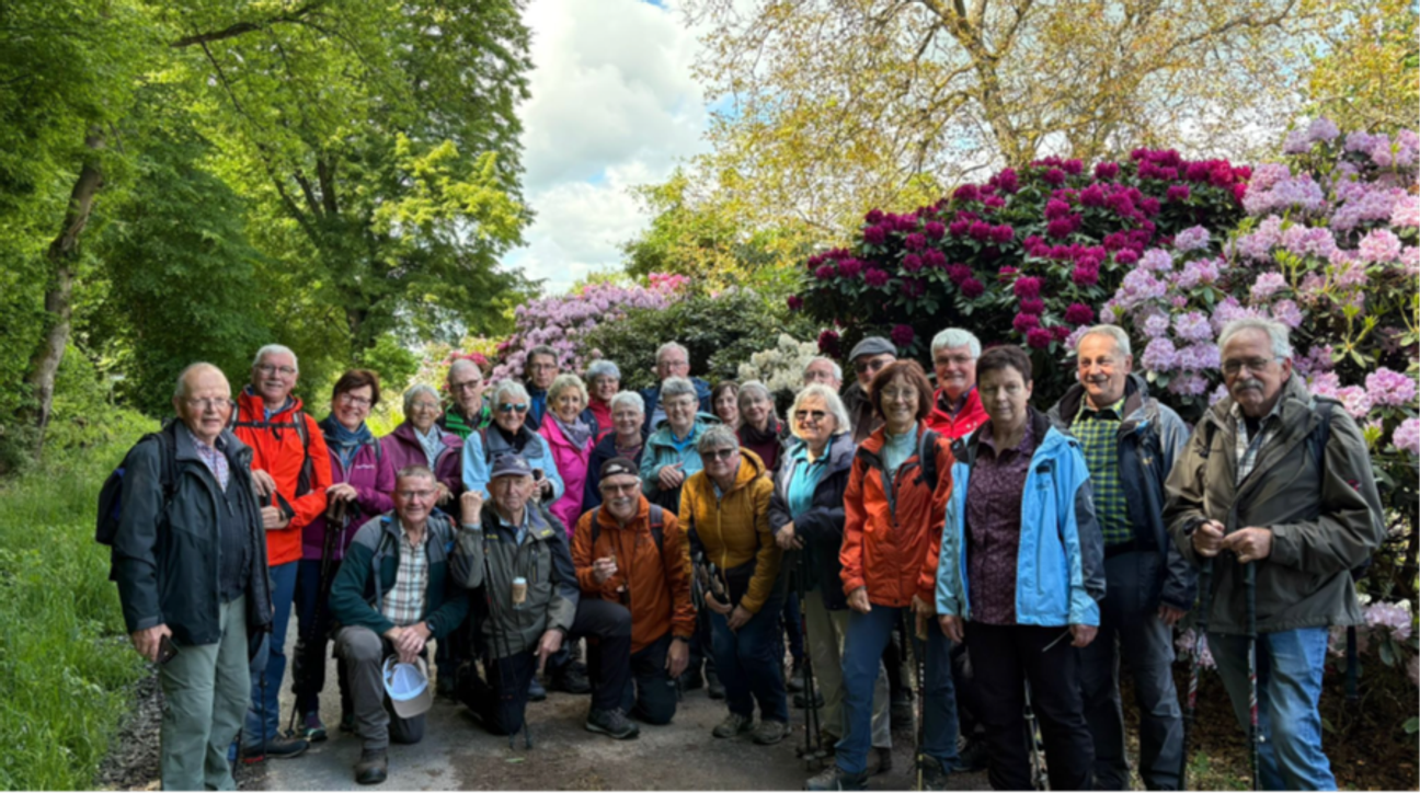 Die Wandergruppe des Seniorenvereins Cochem-Zell genoss bei ihrer Tour rund um Treis-Karden herrliche Ausblicke, blühende Rhododendren und gesellige Stunden in der Natur.