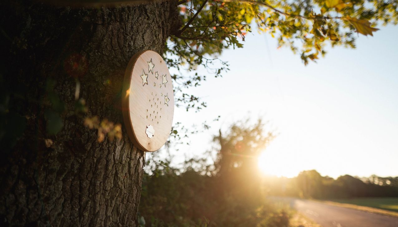 Bei der Märchenparty am 8. Juli können Märchen- und Wanderfans unter anderem die neuen Hörstationen des Märchwegs ausprobieren.