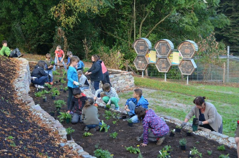 Kinder der Grundschule Gusenburg mit Lehrerin Marion Thommet und Naturpark-Referentin Ulla Petto-Spies. Foto: Naturpark Saar-Hunsrück
