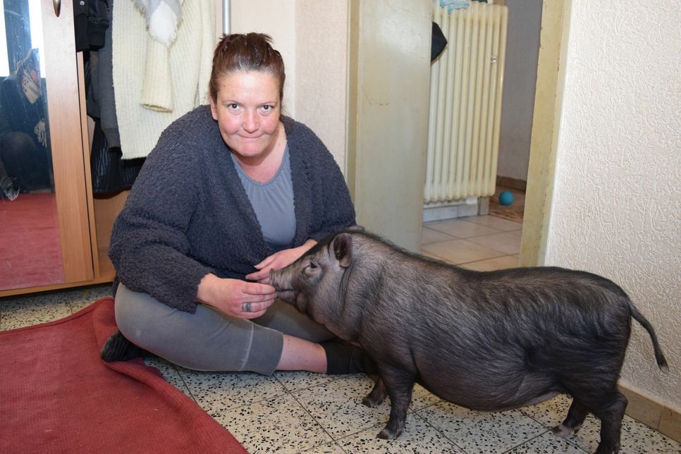 Schweinchen Mila wird ab sofort mit »Mama« Tamara Reinhold im Haus leben. Solange, bis der Garten wieder hergerichtet ist. Fotos: Breuer