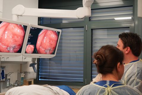 Eine KI, die potentielle Unregelmäßigkeiten erkennt und mit grünen Rechtecken herausstellt, unterstützt das geschulte Auge des medizinischen Personals.