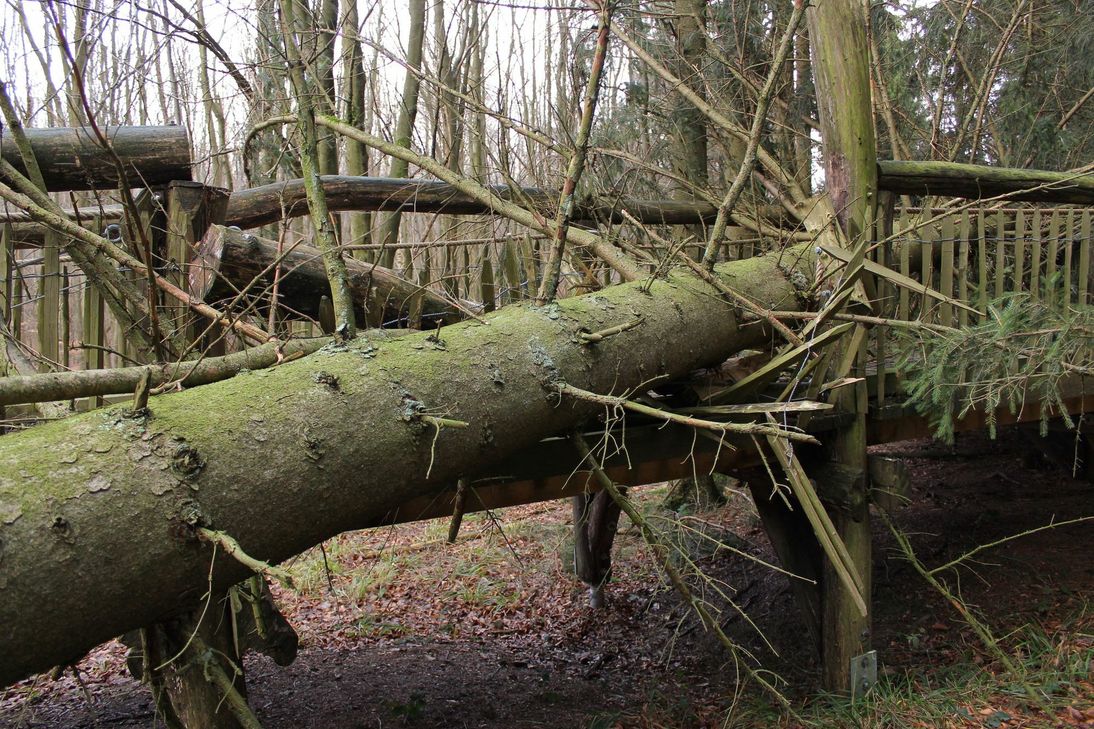 Der Wilde Weg muss wegen Sturmschäden gesperrt werden. Foto: Martin Weisgerber
