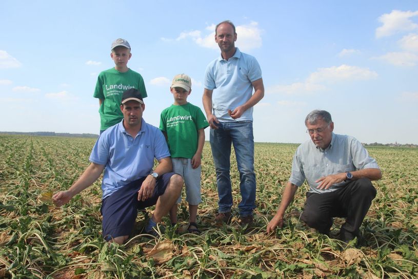 Martin Böhling (l. kniend) und Hans-Josef Schorn (r.) rechnen mit großen Ernteausfällen. Foto: Nolden