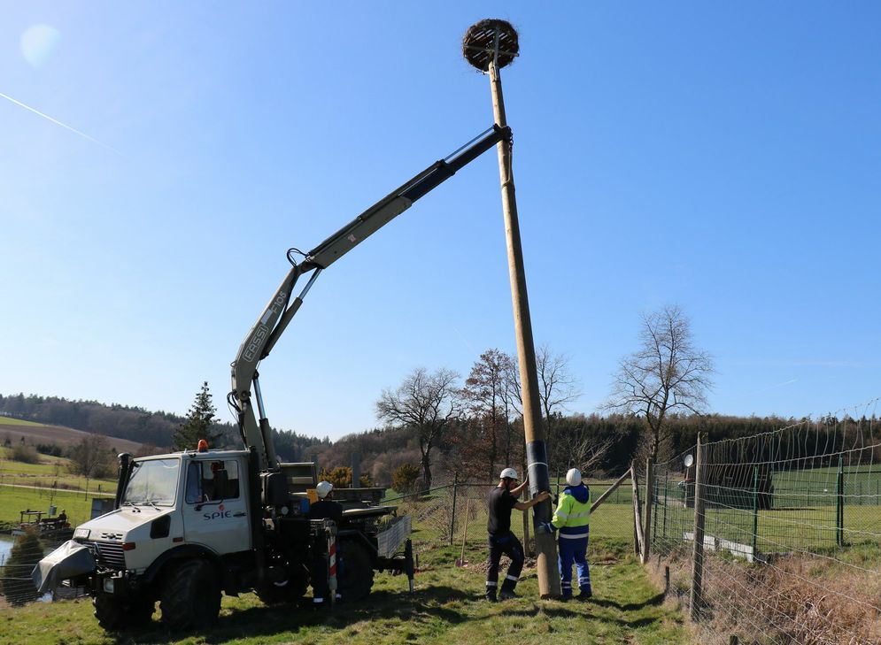Neue Brutstätte für Störche in Gödenroth in der Nähe eines Weihers aufgestellt.