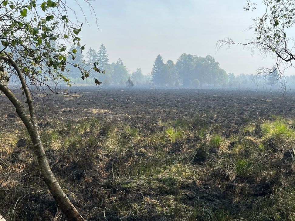 Vermutlich menschliche Unachtsamkeit löste den Großbrand im Hohen Venn aus.