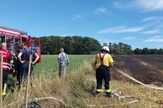 Zu einem größeren Flächenbrand musste am Samstagmittag 8. Juli, gegen 15.10 Uhr, die Feuerwehr Vierherrenborn ausrücken. Foto: Agentur SIKO