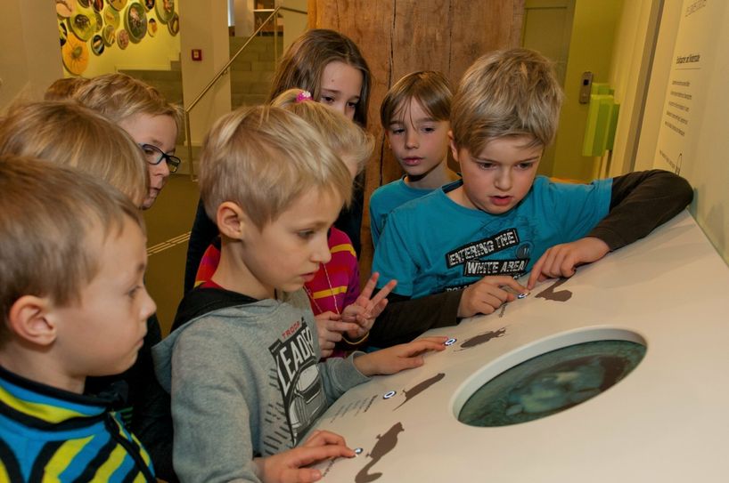 Der Besuch von Kitas und Schulklassen in der attraktiven Erlebnisausstellung »Wildnis(t)räume« kann jetzt wieder gefördert werden.