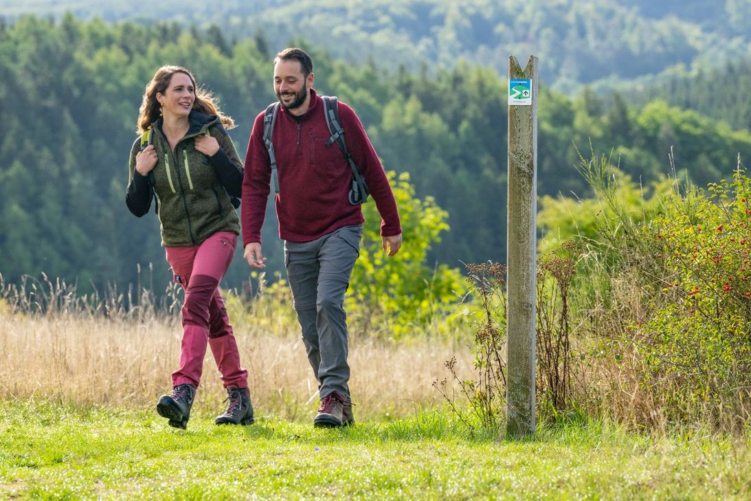 Im Kreis Euskirchen wird wieder unter den 95 EifelSchleifen und 18 EifelSpuren der Wanderweg des Jahres gesucht.