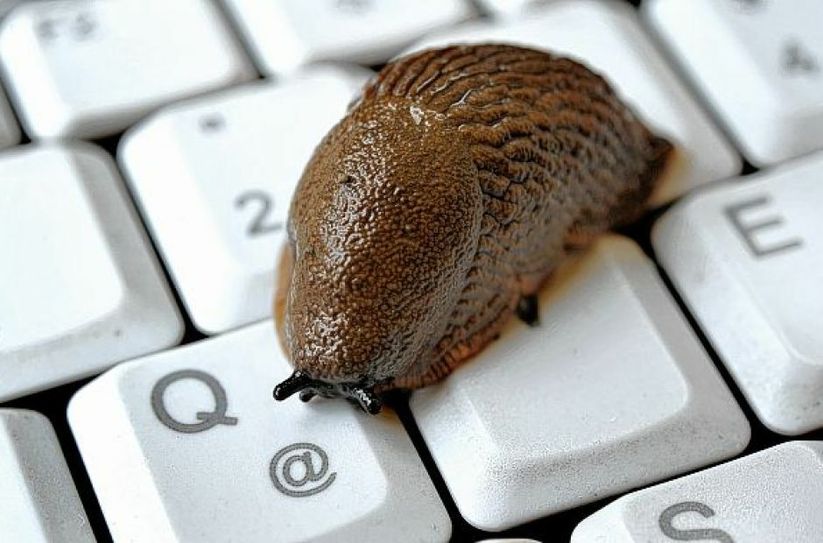 Gefühlt im Schneckentempo surft mancher Eifeler noch durch das WorldWideWeb...