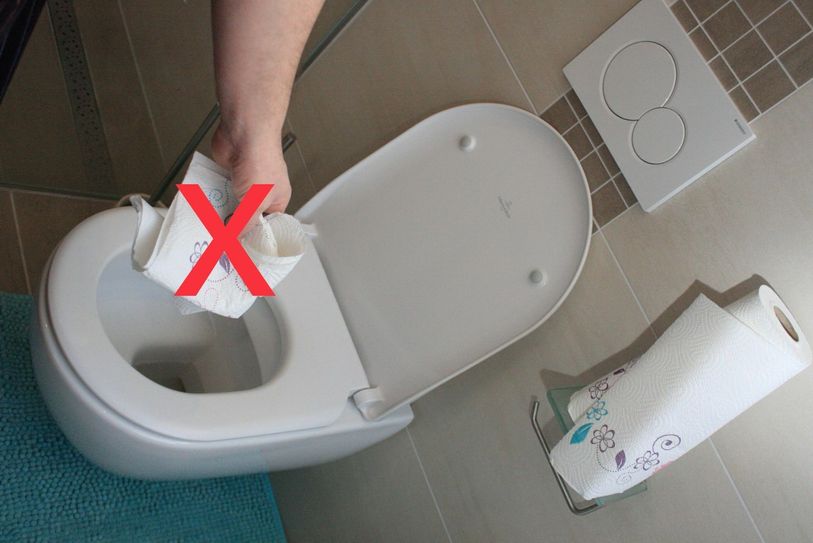 Küchenrolle, Taschentücher und (Baby-)Feuchttücher gehören nicht in die Toilette! Foto: Steffi Tucholke/pp/Agentur ProfiPress