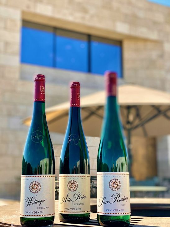 Nach den 2018er Weinen glänzen auch die 2019er Rieslingweine. Foto: Van Volxem