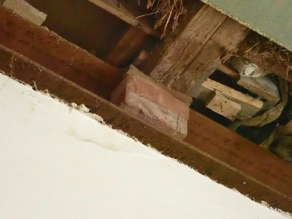 Die Schäden im Exhaus sind gravierender, als ursprünglich vermutet. Foto: Gebäudewirtschaft Trier