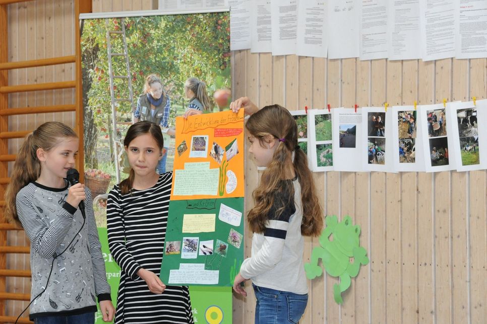 Züscher Grundschüler beschäftigten sich intensiv mit Themen wie der Entwicklung der Frösche, nur einem von vielen Beispielen ihrer Natur- und Umwelt-Projekte. Foto: Schmieder