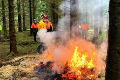 Fachberater für Wald- und Flächenbrände Gerrit Lindlein überwacht einen Übungsbrand bei einer Schulung zur Vegetationsbrandbekämpfung der Nationalparkverwaltung Eifel.
 Foto: Nationalparkverwaltung Eifel/ M. Bartning