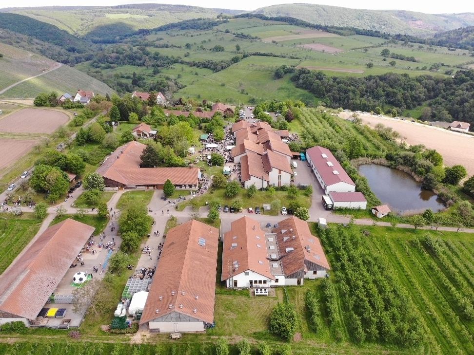 Luftaufnahme des Hofguts