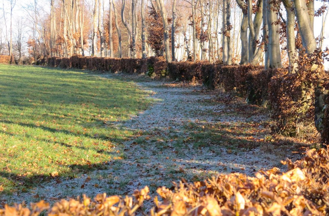 Naturpark Nordeifel e.V.