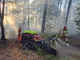 An der L141 zwischen Dreis und Salmtal, im Bereich des sogenannten Asbergs, ist es zu einem Waldbrand gekommen. Die Feuerwehr rückte mit einem Großaufgebot an.