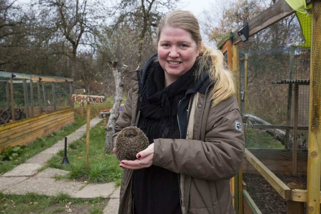 Vanessa-Viktoria Haloui kümmert sich um verletzte oder verwaiste Igel. Foto: Czybik/DJV