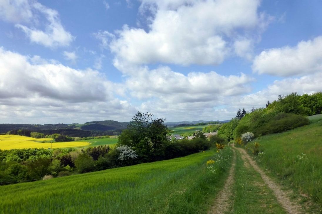 Traumaussicht auf dem Weg zur Hohen Warthe.
