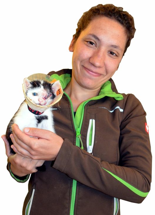 Tierheimleiterin Anna Jutz mit Kater Sailor. Foto: Pees/Montage: Neumann