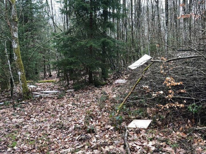Im Stadtgebiet von Gerolstein liegt der Müll.