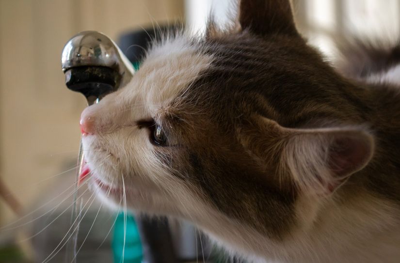 Der Landrat appelliert an alle, beim Wasserverbrauch besonders achtsam zu sein.