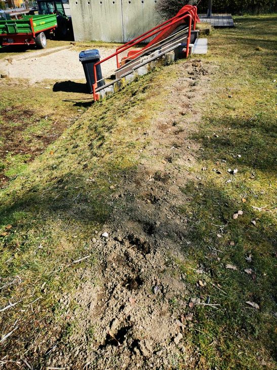 Am Riedener Kinderspielplatz haben der oder die Täter eine neu angepflanzte Hecke herausgerissen.