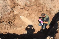 Fotos: Ordnungsamt TRier / Feuerwehr Trier / Agentur Siko