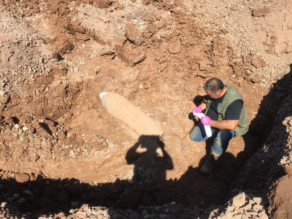 Fotos: Ordnungsamt TRier / Feuerwehr Trier / Agentur Siko