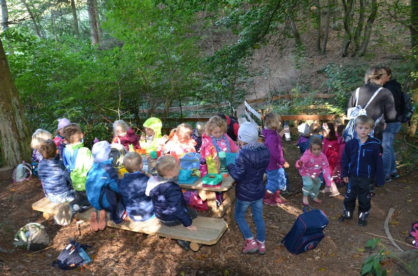 Die Kids des Schmidter Kindergartens lieben ihren Waldtag. Aber sie sind traurig, dass das idyllische Areal am Rande des Ortes von Vandalen heimgesucht wird. Foto: T. Förster